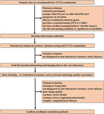 Prognostic Value of Coronary CT Angiography-Derived Fractional Flow Reserve in Non-obstructive Coronary Artery Disease: A Prospective Multicenter Observational Study